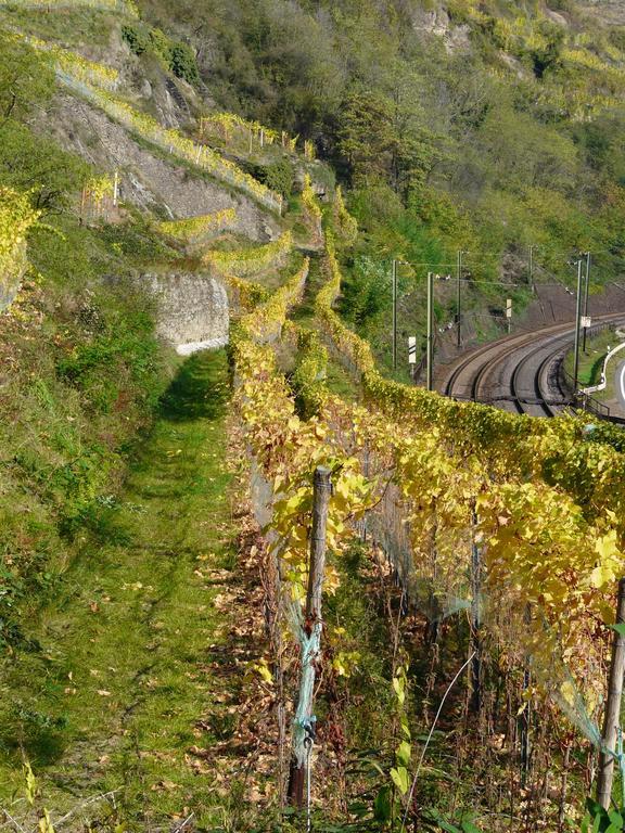 Отель Gasthaus Weingut Stahl Обервезель Экстерьер фото