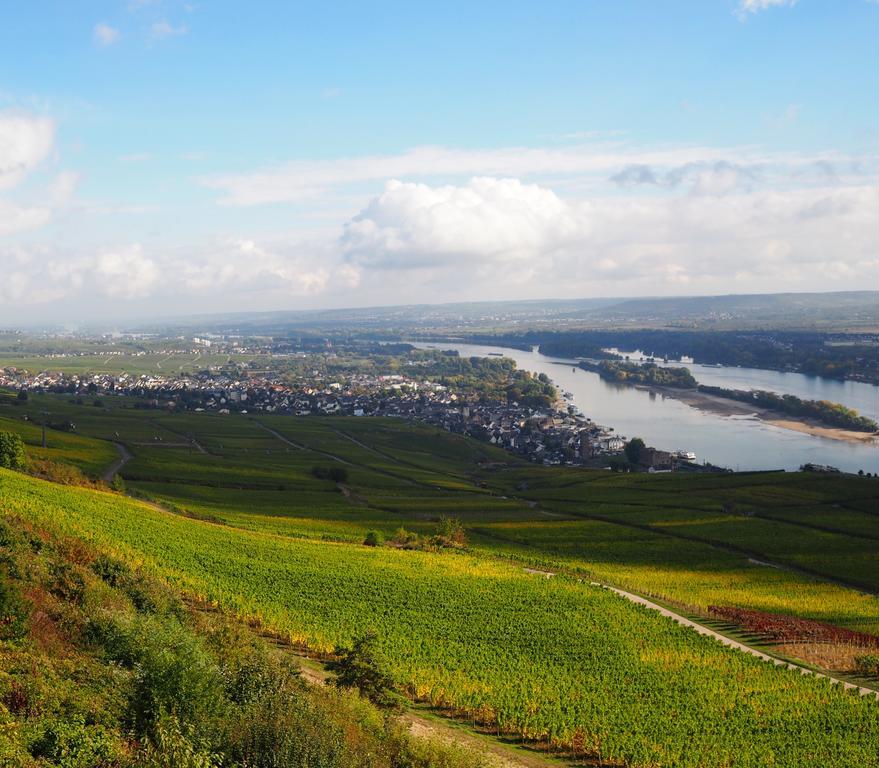 Отель Gasthaus Weingut Stahl Обервезель Экстерьер фото