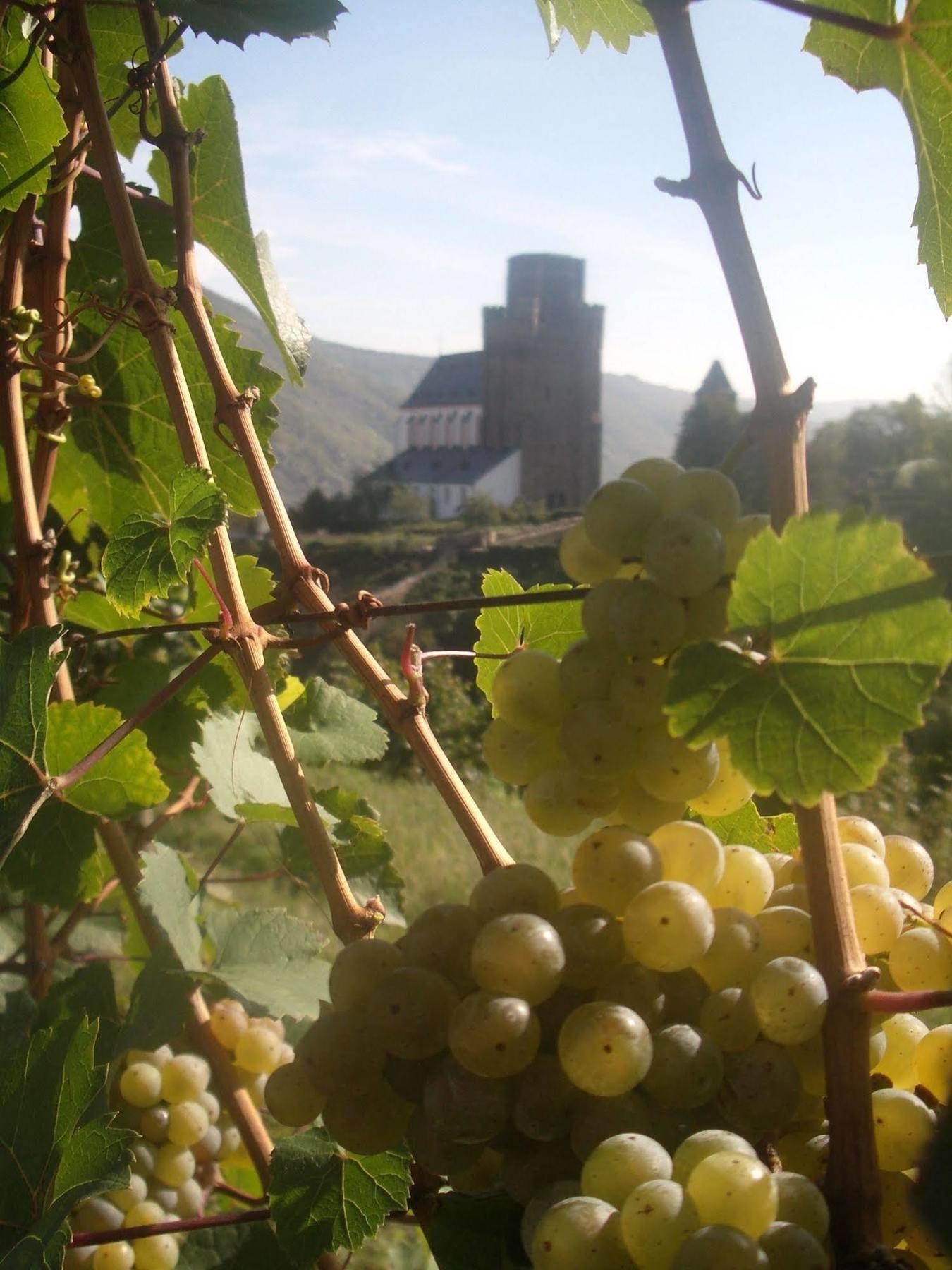 Отель Gasthaus Weingut Stahl Обервезель Экстерьер фото