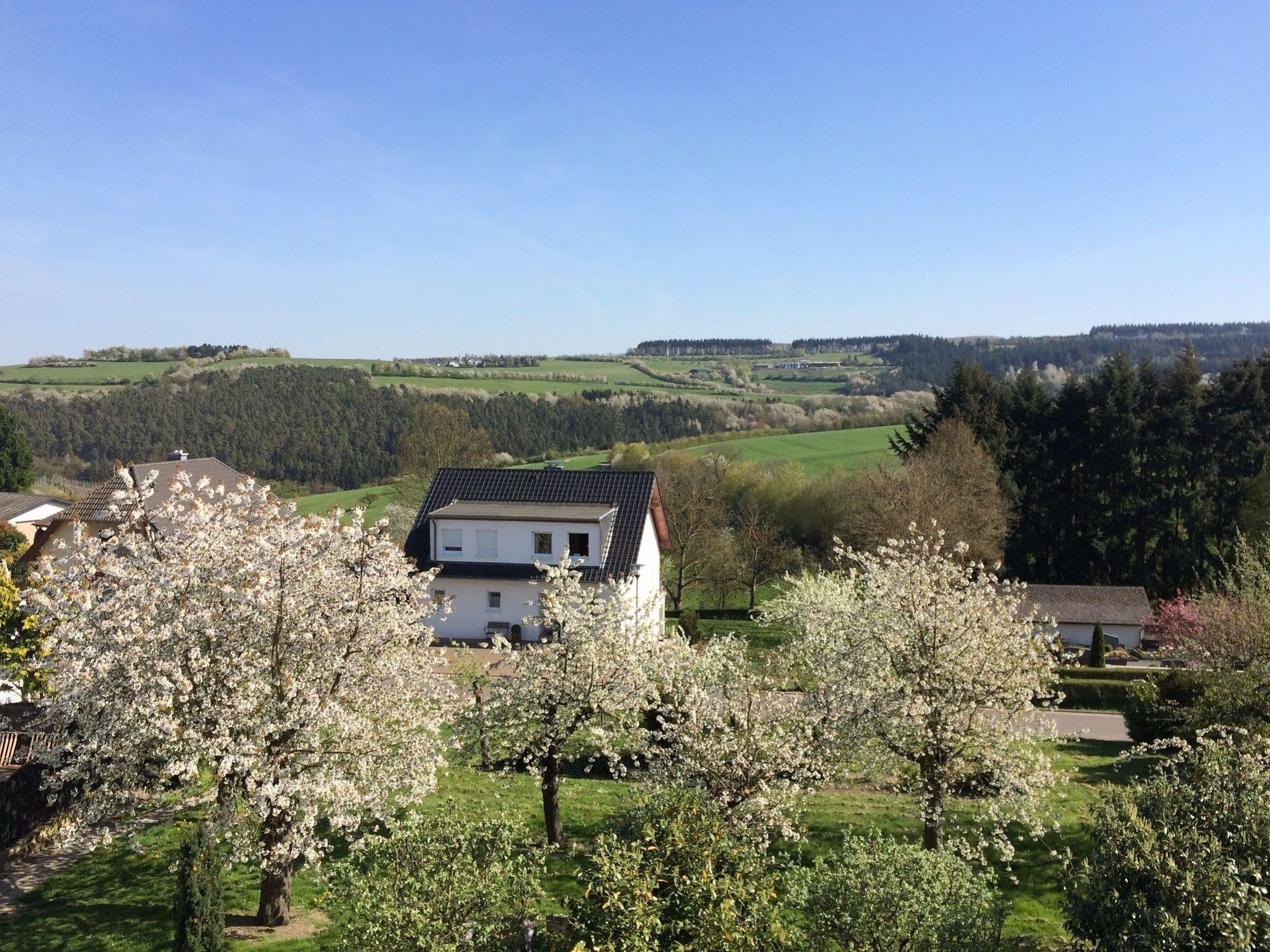 Отель Gasthaus Weingut Stahl Обервезель Экстерьер фото